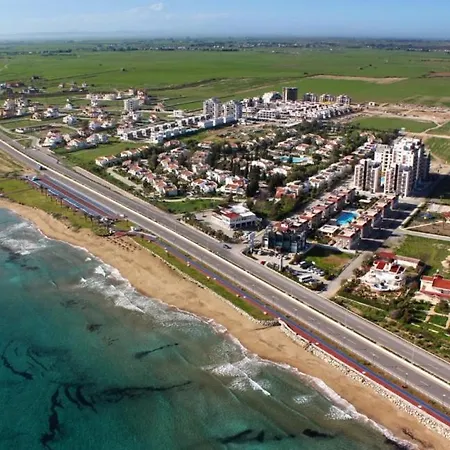 Creme & Bordo *